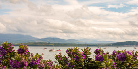 Panoramic view of a seaside landscape with blue sky, clouds and green mountains in the background, boats in the sea and flowers in the closeup. Beaumaris, Gwynedd, Wales, UK.