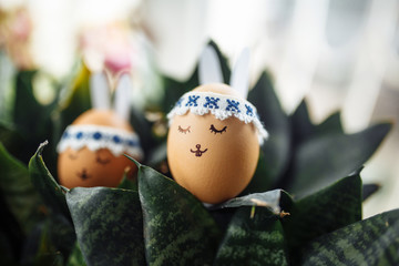 Obraz premium Two little easter eggs with a painted drawn rabbit faces and ears on it laying in the green flower bushes. Easter holidays decorations and preparations concept. Holy religious day.