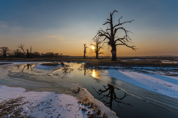 Zachód słońca, Rogalin, Polska © Maciej