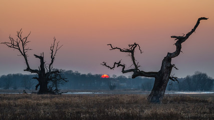 Zachód słońca, Rogalin, Polska © Maciej