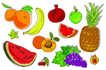 Fruits drawn by a line on a white background. Vector colored food sketch. Pineapple, grapes, apple, orange, mango, mandarin, peach, banana, cherry EPS
