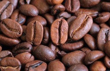 Coffee beans closeup. Macro photography. Coffee mood.