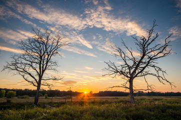 Zachód słońca nad łąką © Maciej