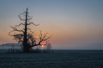 Wschód słońca, Rogalin, Polska © Maciej
