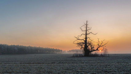Wschód słońca, Rogalin, Polska © Maciej