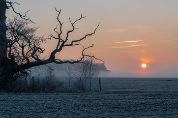 Wschód słońca, Rogalin, Polska © Maciej