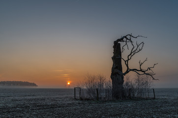 Wschód słońca, Rogalin, Polska © Maciej
