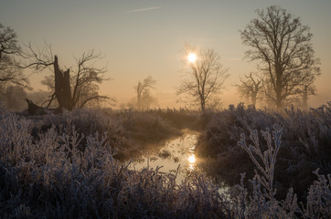 Wschód słońca, Rogalin, Polska © Maciej
