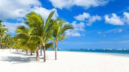 Fototapeta na wymiar Beach on a tropical island with white sand and coconut trees. Yachts and boats off the coast of the Atlantic Ocean. Popular tourist destination for holidays Punta Cana. beautiful caribbean background.