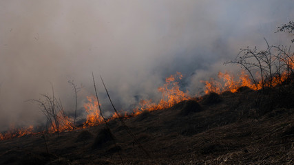 Fire in the mountains and field