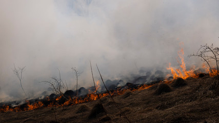 Fire in the mountains and field