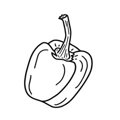 Single vector illustration of a sweet pepper with a stalk close-up. Monochrome illustration of a vegetable on a white background. Isolated object for your design.