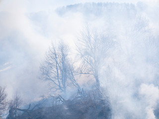 Obraz na płótnie Canvas Fire in the mountains and field