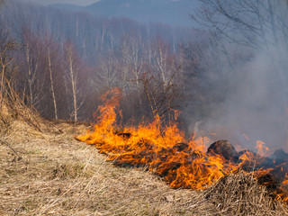 Fire in the mountains and field