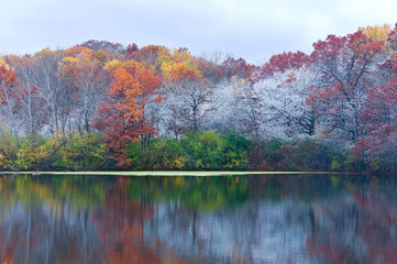 Marthaler pond  and frosty autumn trees