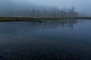 fog on the lake with forest