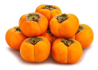 kinglet persimmons