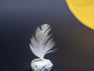 feather