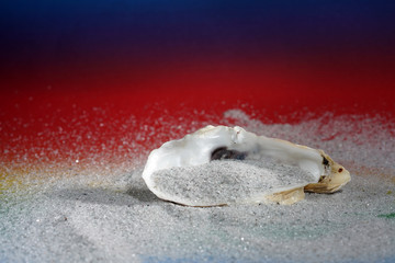 Obraz premium sand photographed in the studio with flash and very good to use as a background 