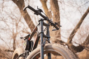 Close-up of bicycle with large wheels in countryside. Mountain bike stands on ground in sunny weather. © Anton Dios