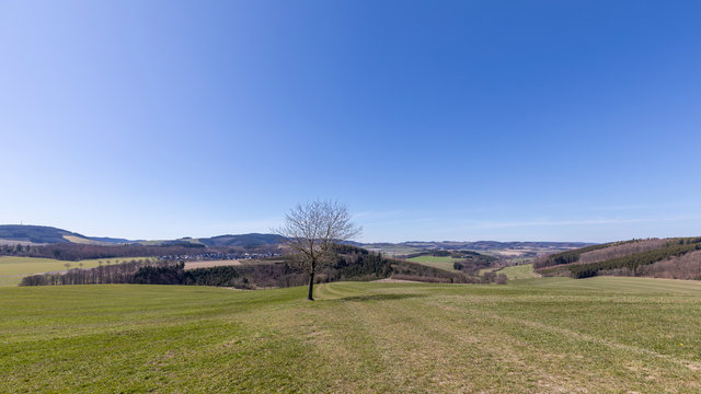 Landschaft mit Baum zwischen Ebbinghof und Obringhausen im Sauerland