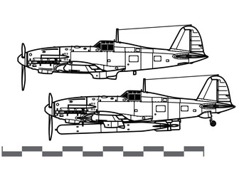 Fiat G.55 Centauro. World War 2 combat aircraft. Side view. Image for illustration and infographics. - obrazy, fototapety, plakaty