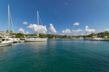Saint Vincent and the Grenadines, sailboats on mooring in Blue Lagoon