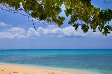 Crédence de cuisine en verre imprimé Plage de Seven Mile, Grand Cayman Une section de Seven Mile Beach sur Grand Cayman dans les îles Caïmans. Cette île tropicale paradisiaque des Caraïbes est un point chaud pour le tourisme aisé