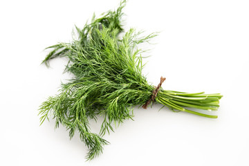 Fresh dill on a white background