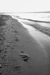 Footprints on the Beach