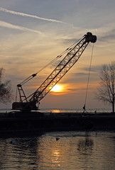 Fototapeta premium crane at sunset