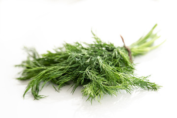 Fresh dill on a white background