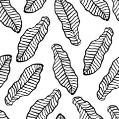 Abstract simple hand drawn seamless pattern. Black and white floral print. Tropical palm leaves. Modern textile, packaging, wrapping paper, fabric, fashion.