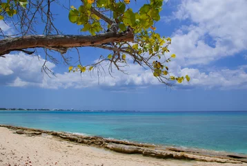 Papier Peint photo autocollant Plage de Seven Mile, Grand Cayman Une section de Seven Mile Beach sur Grand Cayman dans les îles Caïmans. Cette île tropicale paradisiaque des Caraïbes est un point chaud pour le tourisme aisé