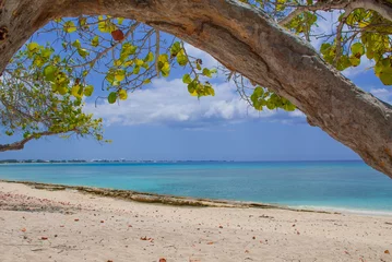 Photo sur Aluminium brossé Plage de Seven Mile, Grand Cayman A section of Seven Mile Beach on Grand Cayman in the Cayman Islands. This tropical Caribbean island paradise is a hot spot for affluent tourism 