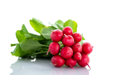Fresh red organic radishes on white background