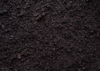 Texture of raw earth in the garden.