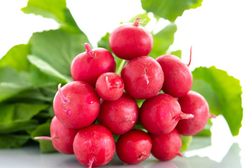 Fresh red organic radishes on white background