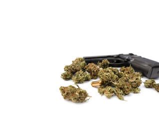 Black gun, cannabis buds, bullets isolated on white background. Gangsta lifestyle shot.