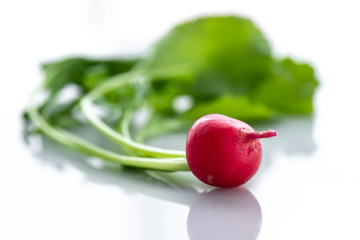 Fresh red organic radishes on white background