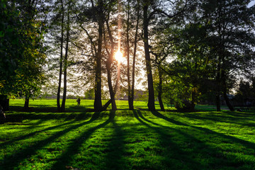 sunset in the park