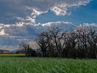 The sky, the forest and the countryside