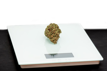 Perfect green dried marijuana bud on kitchen scales.