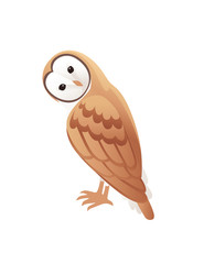 Cute barn owl (tyto alba) with white face and brown wings cartoon wild forest bird animal design flat vector illustration isolated on white background