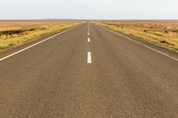 asphalt road in the steppe of Kazakhstan, Aktobe Region