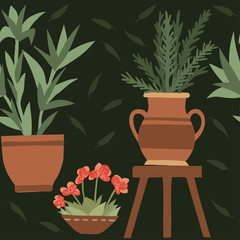 Seamless pattern home decorative and outdoor garden plants in pots set green plants flat vector illustration on dark background