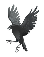 Black raven bird cartoon crow design flat vector animal illustration isolated on white background