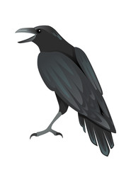 Black raven bird cartoon crow design flat vector animal illustration isolated on white background