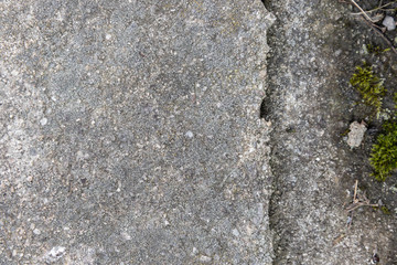 graue Platte aus Stein mit grünem Moos als Hintergrund