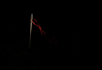 On a black background, a metal needle with a red thread in the eye. The concept is quarantine,...